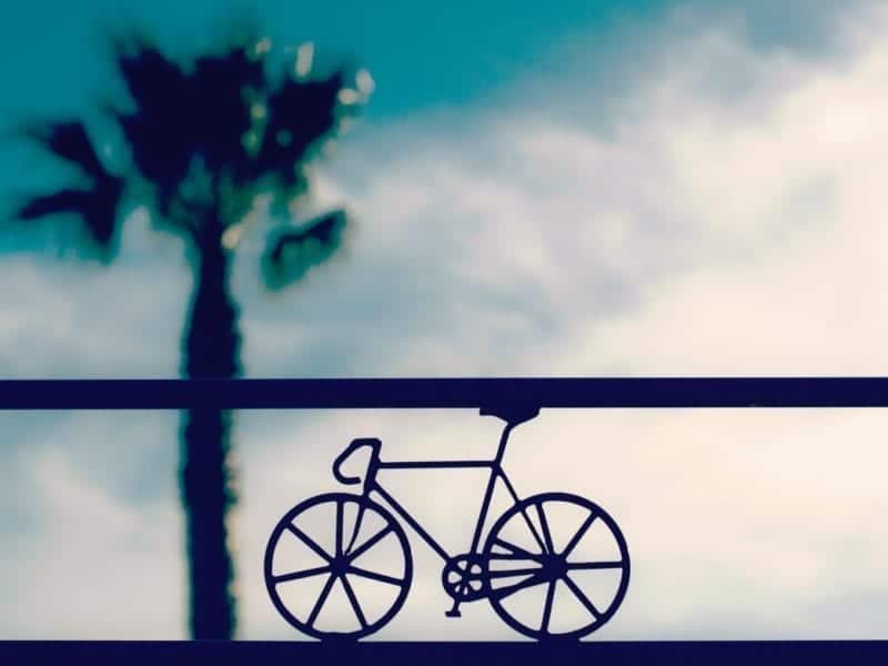 Bike Outline in front of clouds and palm tree